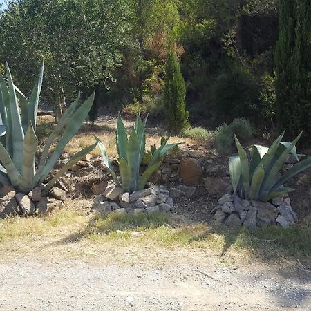 לינה וארוחת בוקר Fraissé-des-Corbières La Loubiere, Ancienne Bergerie En Pleine Garrigue מראה חיצוני תמונה
