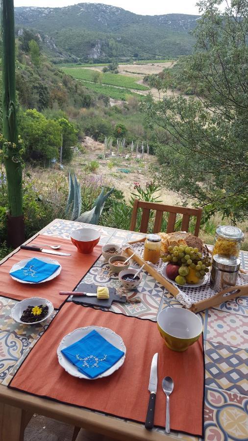 לינה וארוחת בוקר Fraissé-des-Corbières La Loubiere, Ancienne Bergerie En Pleine Garrigue מראה חיצוני תמונה