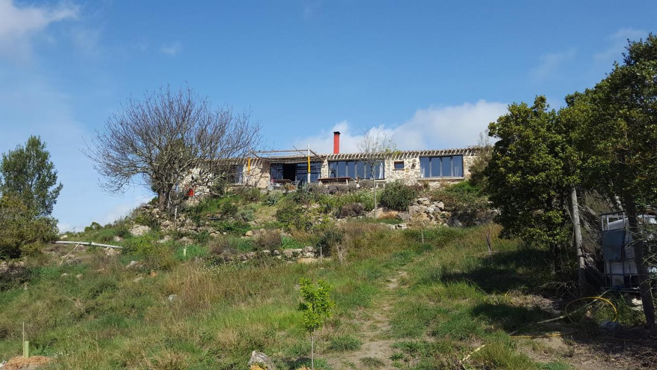 לינה וארוחת בוקר Fraissé-des-Corbières La Loubiere, Ancienne Bergerie En Pleine Garrigue מראה חיצוני תמונה
