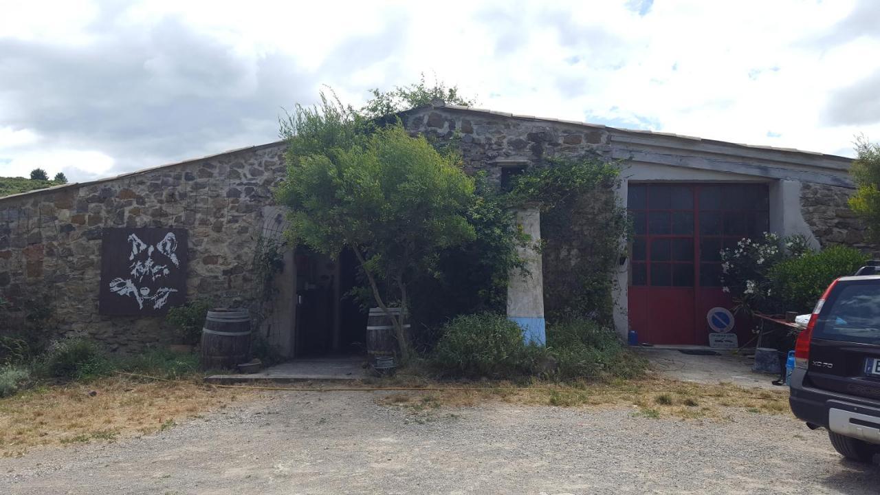 לינה וארוחת בוקר Fraissé-des-Corbières La Loubiere, Ancienne Bergerie En Pleine Garrigue מראה חיצוני תמונה