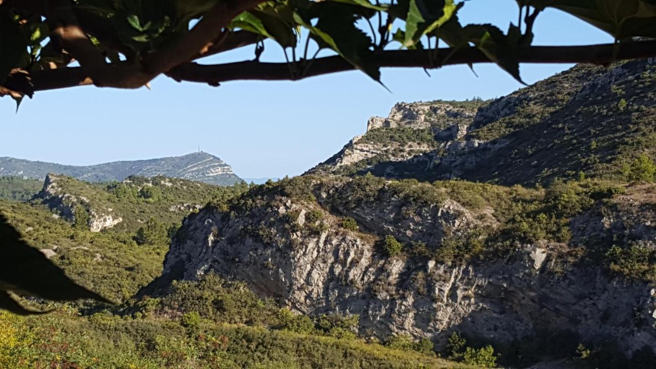 לינה וארוחת בוקר Fraissé-des-Corbières La Loubiere, Ancienne Bergerie En Pleine Garrigue מראה חיצוני תמונה