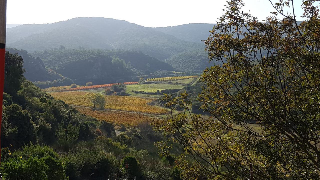 לינה וארוחת בוקר Fraissé-des-Corbières La Loubiere, Ancienne Bergerie En Pleine Garrigue מראה חיצוני תמונה