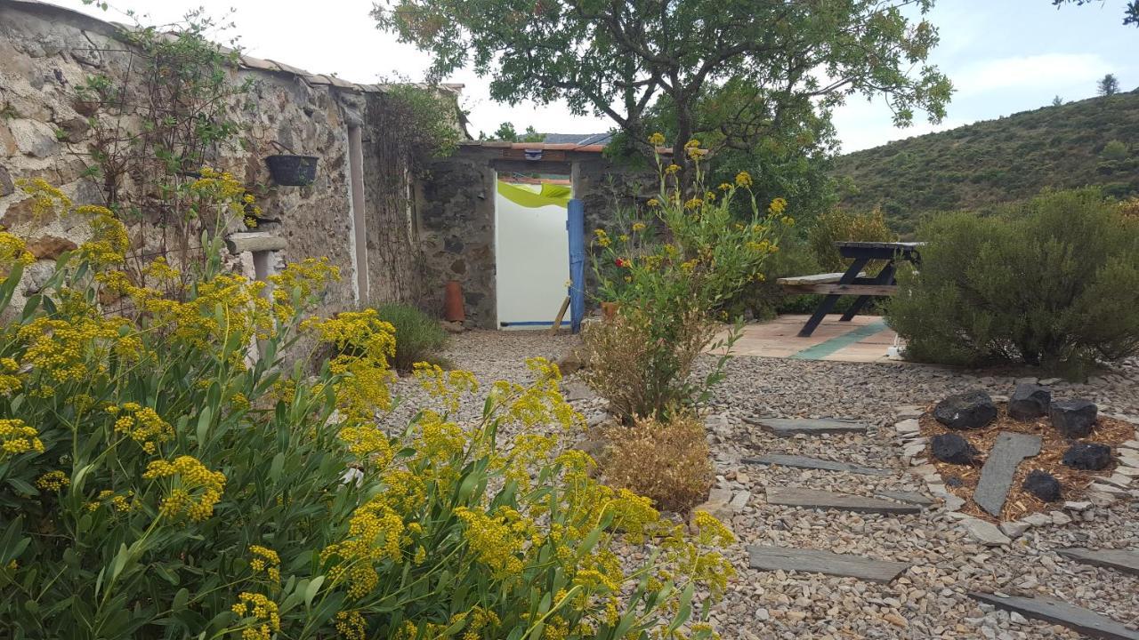 לינה וארוחת בוקר Fraissé-des-Corbières La Loubiere, Ancienne Bergerie En Pleine Garrigue מראה חיצוני תמונה