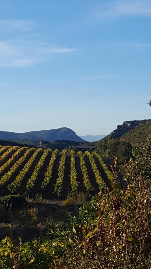 לינה וארוחת בוקר Fraissé-des-Corbières La Loubiere, Ancienne Bergerie En Pleine Garrigue מראה חיצוני תמונה