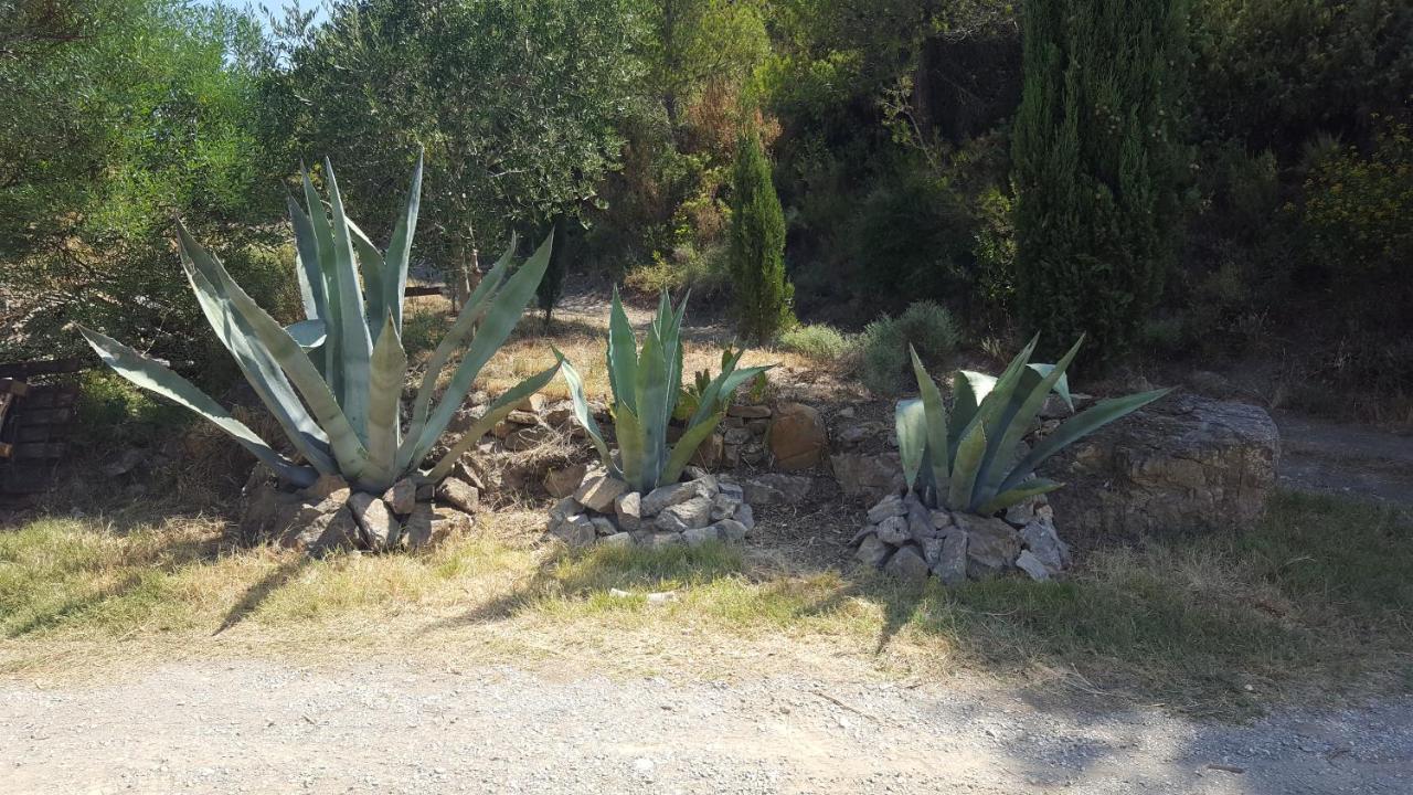 לינה וארוחת בוקר Fraissé-des-Corbières La Loubiere, Ancienne Bergerie En Pleine Garrigue מראה חיצוני תמונה
